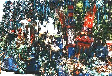 Lion King Parade picture of a jungle scene