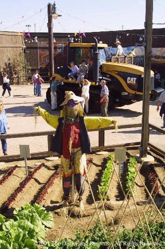 Bountiful Valley Farm