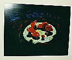 Click to see large image of Disney Gallery Fantasia Mushroom Print